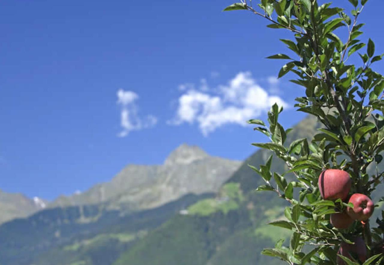 Hahnenkamm Rainegg Apartment Schenna Bagian luar foto