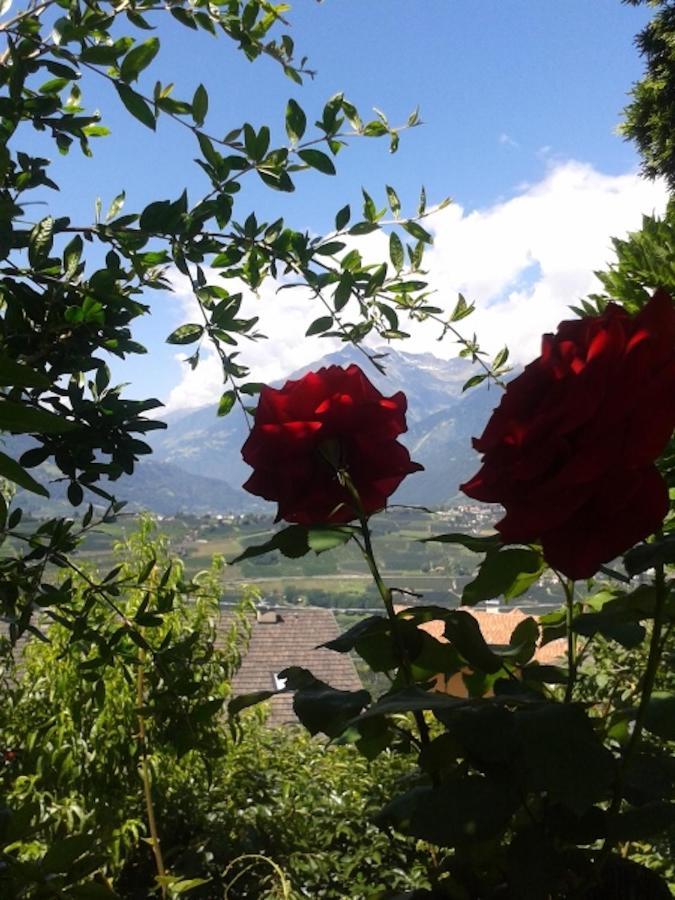 Hahnenkamm Rainegg Apartment Schenna Bagian luar foto
